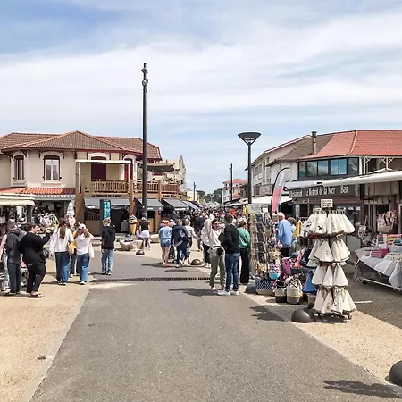 Cote Sud-4 By Interhome * Mimizan-Plage