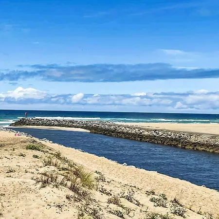 Apartamento Cote Sud-4 By Interhome