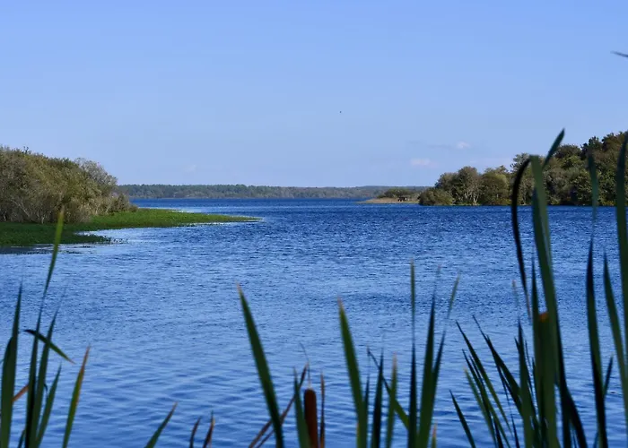 Daire Cote Sud-4 By Interhome Mimizan-Plage